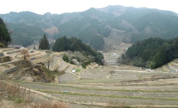 f:id:yamamayuga:20160308100440j:plain