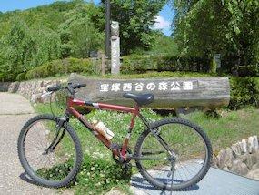 f:id:yamamayuga:20190707211628j:plain
