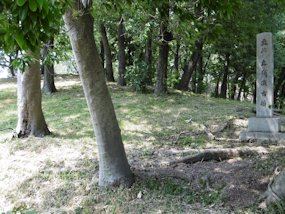 f:id:yamamayuga:20190708164403j:plain f:id:yamamayuga:20190708164403j:plain