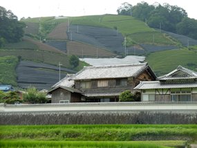 f:id:yamamayuga:20190711101739j:plain