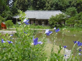 f:id:yamamayuga:20190711101853j:plain
