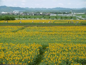 f:id:yamamayuga:20190716015403j:plain f:id:yamamayuga:20190716015403j:plain