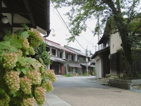 f:id:yamamayuga:20190728030519j:plain f:id:yamamayuga:20190728030519j:plain
