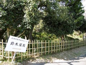 f:id:yamamayuga:20190827022517j:plain