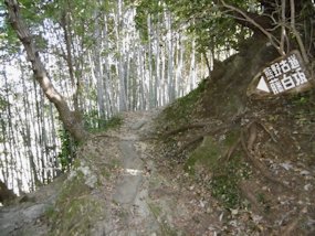 f:id:yamamayuga:20190827022559j:plain