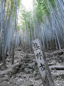 f:id:yamamayuga:20190829062256j:plain