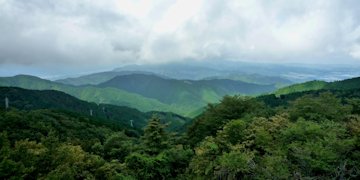 f:id:yamamayuga:20190909235451j:plain