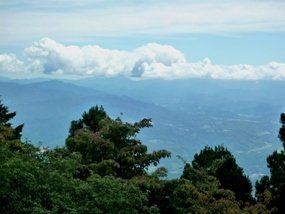 f:id:yamamayuga:20190909235504j:plain