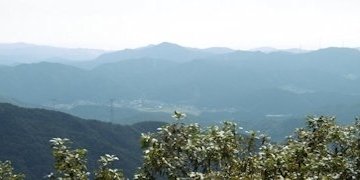 f:id:yamamayuga:20190926000424j:plain