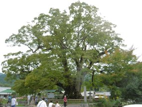 f:id:yamamayuga:20190926000617j:plain
