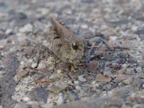f:id:yamamayuga:20191024002539j:plain f:id:yamamayuga:20191024002539j:plain