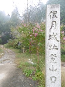f:id:yamamayuga:20191027013043j:plain