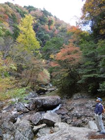 f:id:yamamayuga:20191114005136j:plain