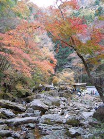 f:id:yamamayuga:20191114005224j:plain