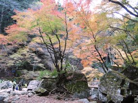 f:id:yamamayuga:20191114005237j:plain