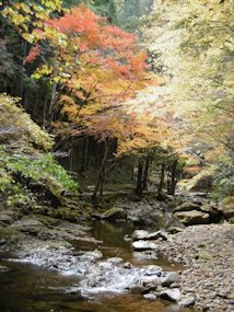f:id:yamamayuga:20191116010025j:plain
