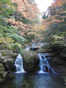 f:id:yamamayuga:20191116010050j:plain
