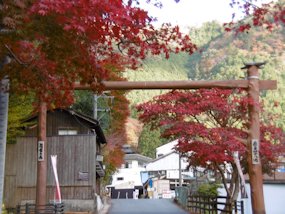 f:id:yamamayuga:20191116010144j:plain