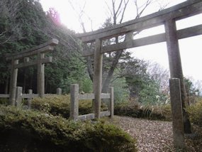 f:id:yamamayuga:20191214002144j:plain