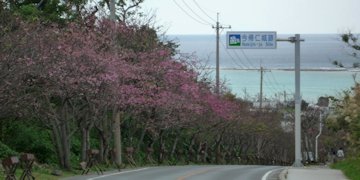 f:id:yamamayuga:20191222000744j:plain