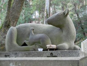 f:id:yamamayuga:20191226024318j:plain