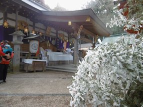 f:id:yamamayuga:20191226024333j:plain