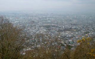 f:id:yamamayuga:20191226024427j:plain