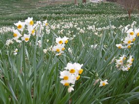 f:id:yamamayuga:20200110034152j:plain f:id:yamamayuga:20200110034152j:plain