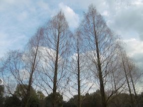 f:id:yamamayuga:20200110034232j:plain f:id:yamamayuga:20200110034232j:plain
