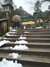 f:id:yamamayuga:20200112061222j:plain f:id:yamamayuga:20200112061222j:plain