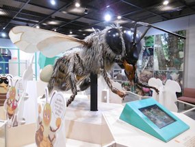 f:id:yamamayuga:20200114041945j:plain f:id:yamamayuga:20200114041945j:plain