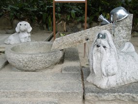 f:id:yamamayuga:20200201001802j:plain