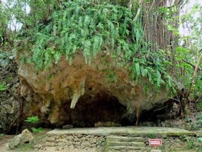 f:id:yamamayuga:20200211002428j:plain f:id:yamamayuga:20200211002428j:plain