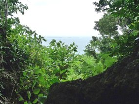 f:id:yamamayuga:20200211002504j:plain f:id:yamamayuga:20200211002504j:plain