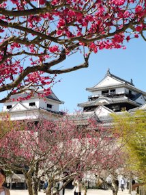 f:id:yamamayuga:20200221072003j:plain f:id:yamamayuga:20200221072003j:plain