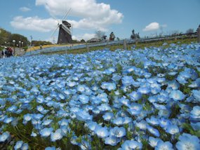 f:id:yamamayuga:20200302022050j:plain
