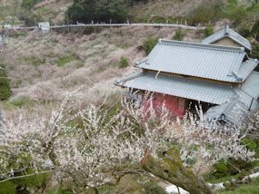 f:id:yamamayuga:20200310064029j:plain f:id:yamamayuga:20200310064029j:plain