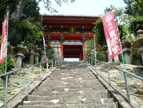 f:id:yamamayuga:20200320051930j:plain