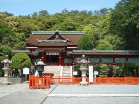 f:id:yamamayuga:20200320051958j:plain