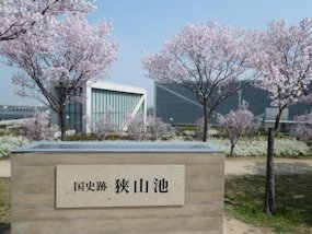 f:id:yamamayuga:20200326004415j:plain