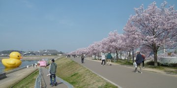 f:id:yamamayuga:20200326004438j:plain