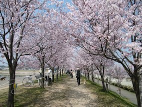 f:id:yamamayuga:20200326004455j:plain