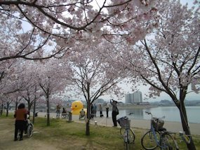 f:id:yamamayuga:20200326004510j:plain