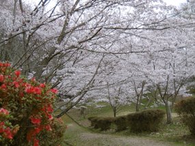 f:id:yamamayuga:20200326004530j:plain