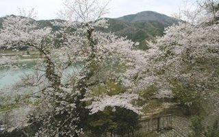 f:id:yamamayuga:20200330004815j:plain