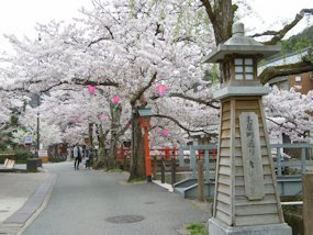 f:id:yamamayuga:20200401001046j:plain