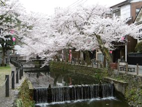 f:id:yamamayuga:20200401001106j:plain