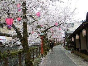 f:id:yamamayuga:20200401001122j:plain