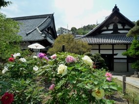 f:id:yamamayuga:20200419000639j:plain