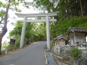 f:id:yamamayuga:20200501001123j:plain
